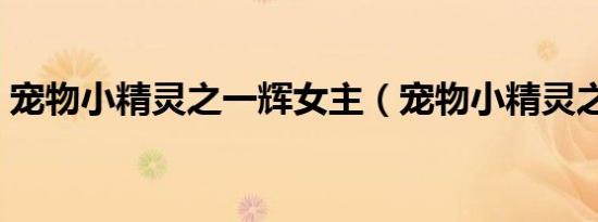 宠物小精灵之一辉女主（宠物小精灵之一辉）