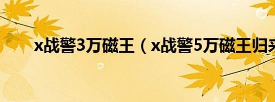 x战警3万磁王（x战警5万磁王归来）