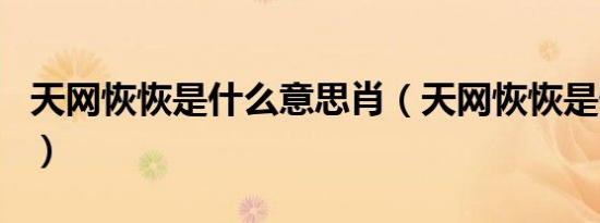 天网恢恢是什么意思肖（天网恢恢是什么生肖）