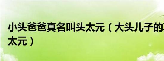 小头爸爸真名叫头太元（大头儿子的真名叫头太元）