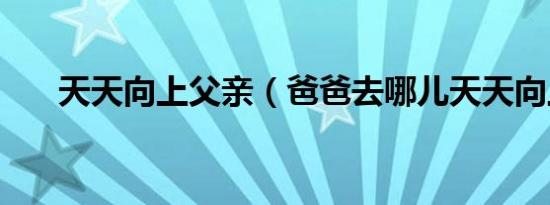 天天向上父亲（爸爸去哪儿天天向上）