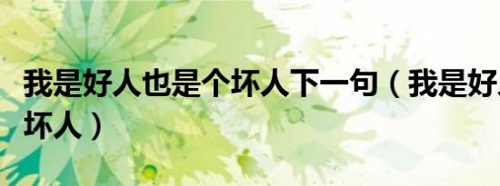 我是好人也是个坏人下一句（我是好人也是个坏人）