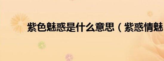 紫色魅惑是什么意思（紫惑情魅）