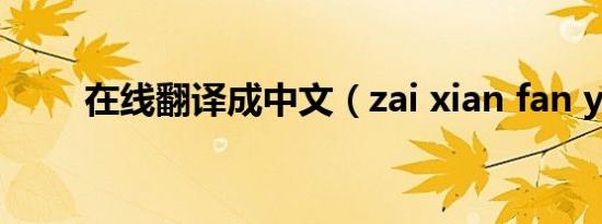 在线翻译成中文（zai xian fan yi）