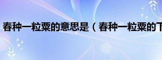 春种一粒粟的意思是（春种一粒粟的下一句）