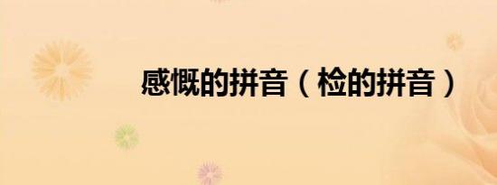 感慨的拼音（检的拼音）
