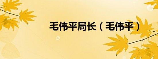 毛伟平局长（毛伟平）