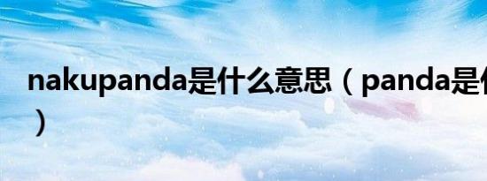 nakupanda是什么意思（panda是什么意思）
