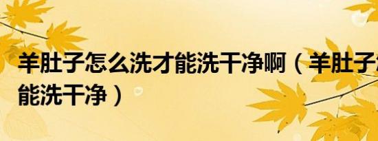 羊肚子怎么洗才能洗干净啊（羊肚子怎么洗才能洗干净）
