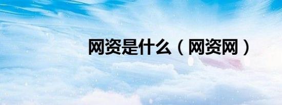 网资是什么（网资网）