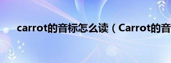 carrot的音标怎么读（Carrot的音标）