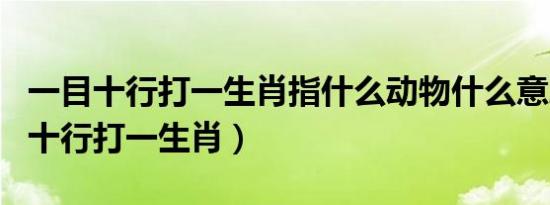一目十行打一生肖指什么动物什么意思（一目十行打一生肖）