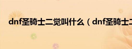 dnf圣骑士二觉叫什么（dnf圣骑士二觉）