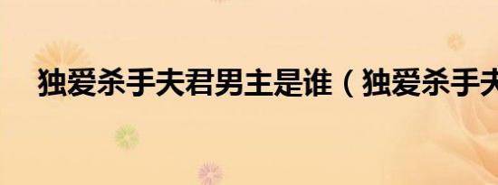 独爱杀手夫君男主是谁（独爱杀手夫君）