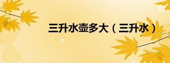 三升水壶多大（三升水）