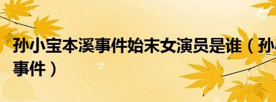 孙小宝本溪事件始末女演员是谁（孙小宝本溪事件）