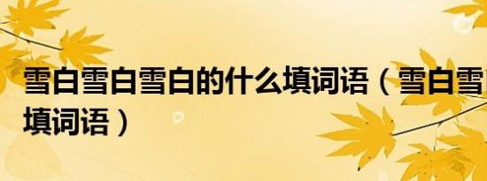 雪白雪白雪白的什么填词语（雪白雪白的什么填词语）