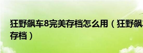 狂野飙车8完美存档怎么用（狂野飙车8完美存档）