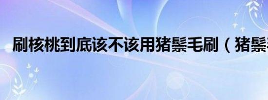 刷核桃到底该不该用猪鬃毛刷（猪鬃毛刷）