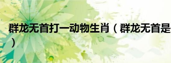 群龙无首打一动物生肖（群龙无首是什么生肖）