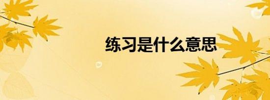 练习是什么意思