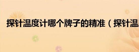 探针温度计哪个牌子的精准（探针温度计）