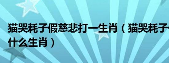猫哭耗子假慈悲打一生肖（猫哭耗子假慈悲是什么生肖）