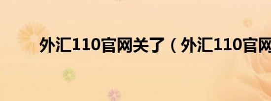 外汇110官网关了（外汇110官网）