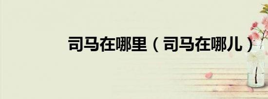 司马在哪里（司马在哪儿）