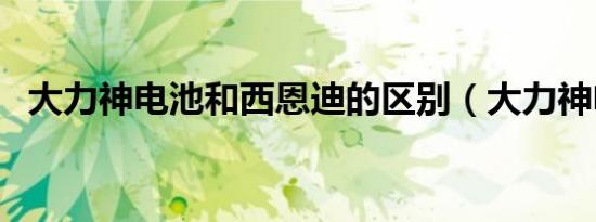 大力神电池和西恩迪的区别（大力神电池）