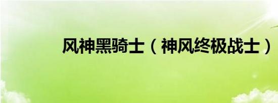 风神黑骑士（神风终极战士）