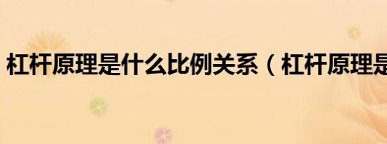 杠杆原理是什么比例关系（杠杆原理是什么）