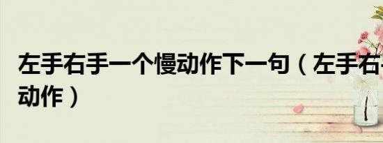 左手右手一个慢动作下一句（左手右手一个慢动作）