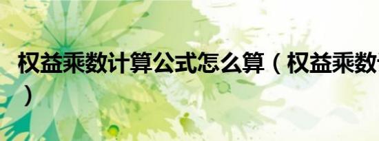权益乘数计算公式怎么算（权益乘数计算公式）