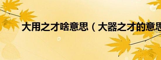 大用之才啥意思（大器之才的意思）
