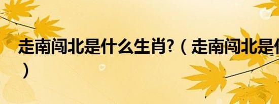 走南闯北是什么生肖?（走南闯北是什么生肖）
