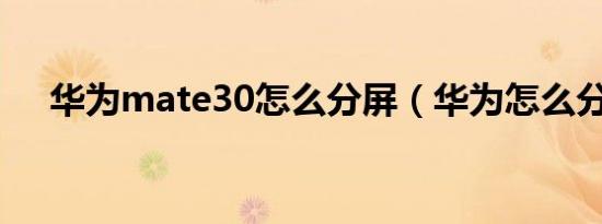 华为mate30怎么分屏（华为怎么分屏）