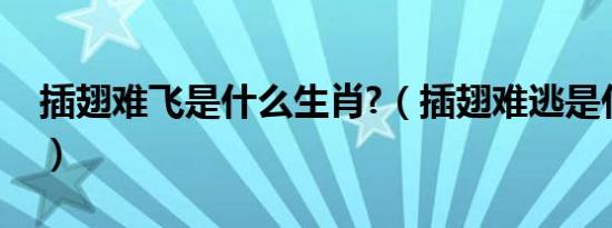 插翅难飞是什么生肖?（插翅难逃是什么生肖）