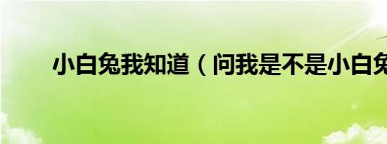小白兔我知道（问我是不是小白兔）
