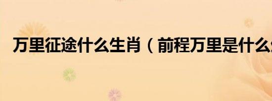 万里征途什么生肖（前程万里是什么生肖）