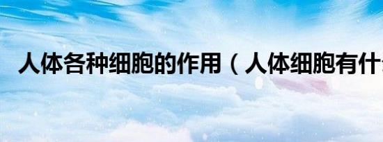 人体各种细胞的作用（人体细胞有什么用）