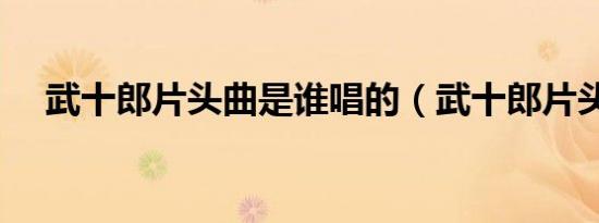 武十郎片头曲是谁唱的（武十郎片头曲）
