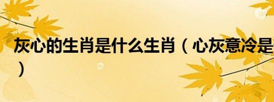 灰心的生肖是什么生肖（心灰意冷是什么生肖）