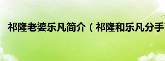 祁隆老婆乐凡简介（祁隆和乐凡分手了吗）