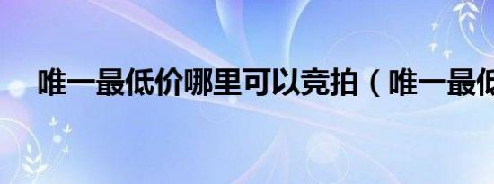 唯一最低价哪里可以竞拍（唯一最低价）