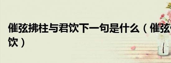 催弦拂柱与君饮下一句是什么（催弦佛柱与君饮）