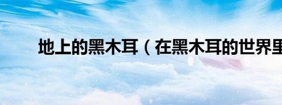 地上的黑木耳（在黑木耳的世界里）
