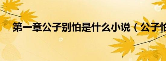 第一章公子别怕是什么小说（公子怕怕）