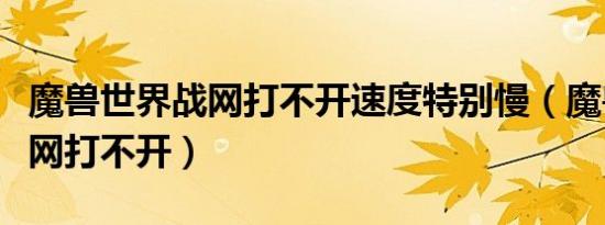 魔兽世界战网打不开速度特别慢（魔兽世界战网打不开）