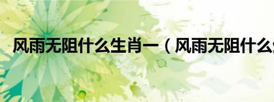 风雨无阻什么生肖一（风雨无阻什么生肖）